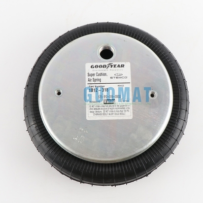 W01-358-7040 Przemysłowe sprężyny pneumatyczne typu 19-.75 Izolator pneumatyczny do docierania zaworu zwrotnego